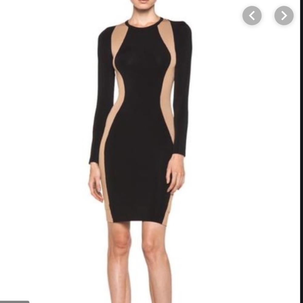 ALC Black/Tan Bodycon Dress